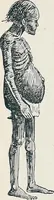 An illustration from Der kommende König .. (1899)