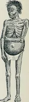 An illustration from Der kommende König .. (1899)