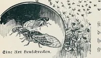 Picture 49 of 117 from Der kommende König .. (1899), leaf 140