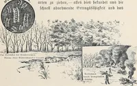 An illustration from Der kommende König .. (1899)