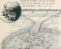 Picture 52 of 117 from Der kommende König .. (1899), leaf 143