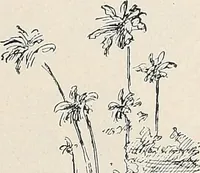 An illustration from Der kommende König .. (1899)