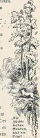 An illustration from Der kommende König .. (1899)