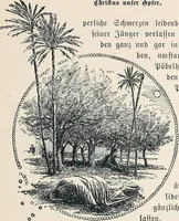 Picture 25 of 117 from Der kommende König .. (1899), leaf 65
