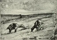 An illustration from Der Kupferstich (1904)