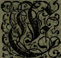 An illustration from Der nach Venedig überbrachte Mohr; oder, Curiose und wahrhaffte Erzehlung und Beschreibung aller Curiositäten und Denckwürdigkeiten (1692)