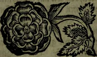 An illustration from Der nach Venedig überbrachte Mohr; oder, Curiose und wahrhaffte Erzehlung und Beschreibung aller Curiositäten und Denckwürdigkeiten (1692)