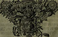 An illustration from Der nach Venedig überbrachte Mohr; oder, Curiose und wahrhaffte Erzehlung und Beschreibung aller Curiositäten und Denckwürdigkeiten (1692)