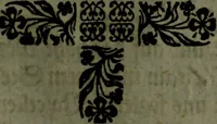 An illustration from Der nach Venedig überbrachte Mohr; oder, Curiose und wahrhaffte Erzehlung und Beschreibung aller Curiositäten und Denckwürdigkeiten (1692)