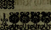 Picture 8 of 29 from Der nach Venedig überbrachte Mohr; oder, Curiose und wahrhaffte Erzehlung und Beschreibung aller Curiositäten und Denckwürdigkeiten (1692), leaf 12