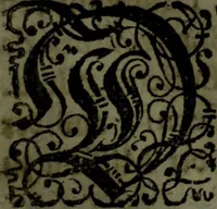 An illustration from Der nach Venedig überbrachte Mohr; oder, Curiose und wahrhaffte Erzehlung und Beschreibung aller Curiositäten und Denckwürdigkeiten (1692)