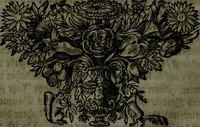 An illustration from Der nach Venedig überbrachte Mohr; oder, Curiose und wahrhaffte Erzehlung und Beschreibung aller Curiositäten und Denckwürdigkeiten (1692)