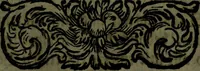 An illustration from Der nach Venedig überbrachte Mohr; oder, Curiose und wahrhaffte Erzehlung und Beschreibung aller Curiositäten und Denckwürdigkeiten (1692)