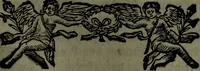 An illustration from Der nach Venedig überbrachte Mohr; oder, Curiose und wahrhaffte Erzehlung und Beschreibung aller Curiositäten und Denckwürdigkeiten (1692)