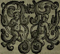 An illustration from Der nach Venedig überbrachte Mohr; oder, Curiose und wahrhaffte Erzehlung und Beschreibung aller Curiositäten und Denckwürdigkeiten (1692)
