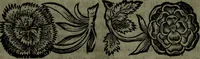 An illustration from Der nach Venedig überbrachte Mohr; oder, Curiose und wahrhaffte Erzehlung und Beschreibung aller Curiositäten und Denckwürdigkeiten (1692)