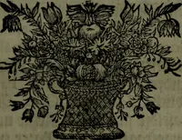 An illustration from Der nach Venedig überbrachte Mohr; oder, Curiose und wahrhaffte Erzehlung und Beschreibung aller Curiositäten und Denckwürdigkeiten (1692)