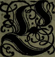 An illustration from Der nach Venedig überbrachte Mohr; oder, Curiose und wahrhaffte Erzehlung und Beschreibung aller Curiositäten und Denckwürdigkeiten (1692)
