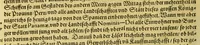 An illustration from Der Newenn Weldt vnd indianischen Königreichs, newe vnnd wahrhaffte History, : von allen Geschichten, Handlungen, Thaten, strengem vnnd ernstlichem Regiment der Spanier gegen den Indianern, vngläublichem grossem gut ... (1579)
