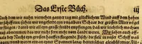 An illustration from Der Newenn Weldt vnd indianischen Königreichs, newe vnnd wahrhaffte History, : von allen Geschichten, Handlungen, Thaten, strengem vnnd ernstlichem Regiment der Spanier gegen den Indianern, vngläublichem grossem gut ... (1579)