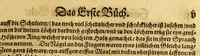 Picture 3 of 30 from Der Newenn Weldt vnd indianischen Königreichs, newe vnnd wahrhaffte History, : von allen Geschichten, Handlungen, Thaten, strengem vnnd ernstlichem Regiment der Spanier gegen den Indianern, vngläublichem grossem gut ... (1579), leaf 17