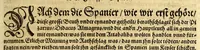 An illustration from Der Newenn Weldt vnd indianischen Königreichs, newe vnnd wahrhaffte History, : von allen Geschichten, Handlungen, Thaten, strengem vnnd ernstlichem Regiment der Spanier gegen den Indianern, vngläublichem grossem gut ... (1579)