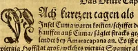 An illustration from Der Newenn Weldt vnd indianischen Königreichs, newe vnnd wahrhaffte History, : von allen Geschichten, Handlungen, Thaten, strengem vnnd ernstlichem Regiment der Spanier gegen den Indianern, vngläublichem grossem gut ... (1579)