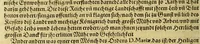 An illustration from Der Newenn Weldt vnd indianischen Königreichs, newe vnnd wahrhaffte History, : von allen Geschichten, Handlungen, Thaten, strengem vnnd ernstlichem Regiment der Spanier gegen den Indianern, vngläublichem grossem gut ... (1579)