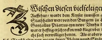 An illustration from Der Newenn Weldt vnd indianischen Königreichs, newe vnnd wahrhaffte History, : von allen Geschichten, Handlungen, Thaten, strengem vnnd ernstlichem Regiment der Spanier gegen den Indianern, vngläublichem grossem gut ... (1579)
