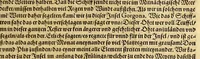 An illustration from Der Newenn Weldt vnd indianischen Königreichs, newe vnnd wahrhaffte History, : von allen Geschichten, Handlungen, Thaten, strengem vnnd ernstlichem Regiment der Spanier gegen den Indianern, vngläublichem grossem gut ... (1579)
