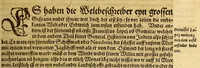 An illustration from Der Newenn Weldt vnd indianischen Königreichs, newe vnnd wahrhaffte History, : von allen Geschichten, Handlungen, Thaten, strengem vnnd ernstlichem Regiment der Spanier gegen den Indianern, vngläublichem grossem gut ... (1579)