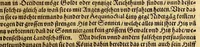 An illustration from Der Newenn Weldt vnd indianischen Königreichs, newe vnnd wahrhaffte History, : von allen Geschichten, Handlungen, Thaten, strengem vnnd ernstlichem Regiment der Spanier gegen den Indianern, vngläublichem grossem gut ... (1579)