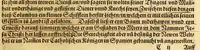 An illustration from Der Newenn Weldt vnd indianischen Königreichs, newe vnnd wahrhaffte History, : von allen Geschichten, Handlungen, Thaten, strengem vnnd ernstlichem Regiment der Spanier gegen den Indianern, vngläublichem grossem gut ... (1579)