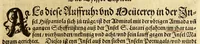 An illustration from Der Newenn Weldt vnd indianischen Königreichs, newe vnnd wahrhaffte History, : von allen Geschichten, Handlungen, Thaten, strengem vnnd ernstlichem Regiment der Spanier gegen den Indianern, vngläublichem grossem gut ... (1579)