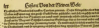 An illustration from Der Newenn Weldt vnd indianischen Königreichs, newe vnnd wahrhaffte History, : von allen Geschichten, Handlungen, Thaten, strengem vnnd ernstlichem Regiment der Spanier gegen den Indianern, vngläublichem grossem gut ... (1579)