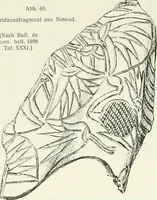 Picture 60 of 152 from Der Orient und die frühgriechische Kunst (1912), leaf 79
