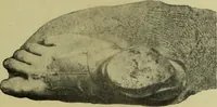 An illustration from Der schoene Mensch im Altertum; eine Geschichte des Koerperideals bei Aegyptern, Orientalen u. Griechen (1912)