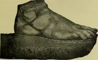 An illustration from Der schoene Mensch im Altertum; eine Geschichte des Koerperideals bei Aegyptern, Orientalen u. Griechen (1912)