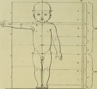 An illustration from Der schoene Mensch im Altertum; eine Geschichte des Koerperideals bei Aegyptern, Orientalen u. Griechen (1912)