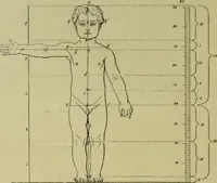 An illustration from Der schoene Mensch im Altertum; eine Geschichte des Koerperideals bei Aegyptern, Orientalen u. Griechen (1912)