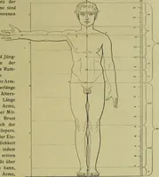 An illustration from Der schoene Mensch im Altertum; eine Geschichte des Koerperideals bei Aegyptern, Orientalen u. Griechen (1912)