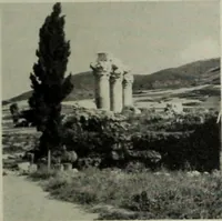Picture 137 of 212 from Der schoene Mensch im Altertum; eine Geschichte des Koerperideals bei Aegyptern, Orientalen u. Griechen (1912), leaf 257