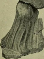 An illustration from Der schoene Mensch im Altertum; eine Geschichte des Koerperideals bei Aegyptern, Orientalen u. Griechen (1912)