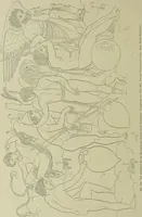 Picture 203 of 212 from Der schoene Mensch im Altertum; eine Geschichte des Koerperideals bei Aegyptern, Orientalen u. Griechen (1912), leaf 356