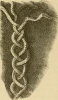 An illustration from Der Stil in den technischen und tektonischen Künsten; oder, Praktische Aesthetik. Ein Handbuch für Techniker, Künstler und Kunstfreunde (1878)
