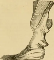 An illustration from Der Stil in den technischen und tektonischen Künsten; oder, Praktische Aesthetik. Ein Handbuch für Techniker, Künstler und Kunstfreunde (1878)