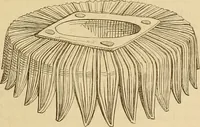 An illustration from Der Stil in den technischen und tektonischen Künsten; oder, Praktische Aesthetik. Ein Handbuch für Techniker, Künstler und Kunstfreunde (1878)