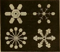 An illustration from Der Stil in den technischen und tektonischen Künsten; oder, Praktische Aesthetik. Ein Handbuch für Techniker, Künstler und Kunstfreunde (1878)