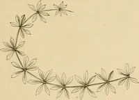 An illustration from Der Stil in den technischen und tektonischen Künsten; oder, Praktische Aesthetik. Ein Handbuch für Techniker, Künstler und Kunstfreunde (1878)