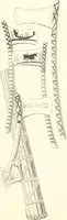 An illustration from Der Stil in den technischen und tektonischen Künsten; oder, Praktische Aesthetik. Ein Handbuch für Techniker, Künstler und Kunstfreunde (1884)